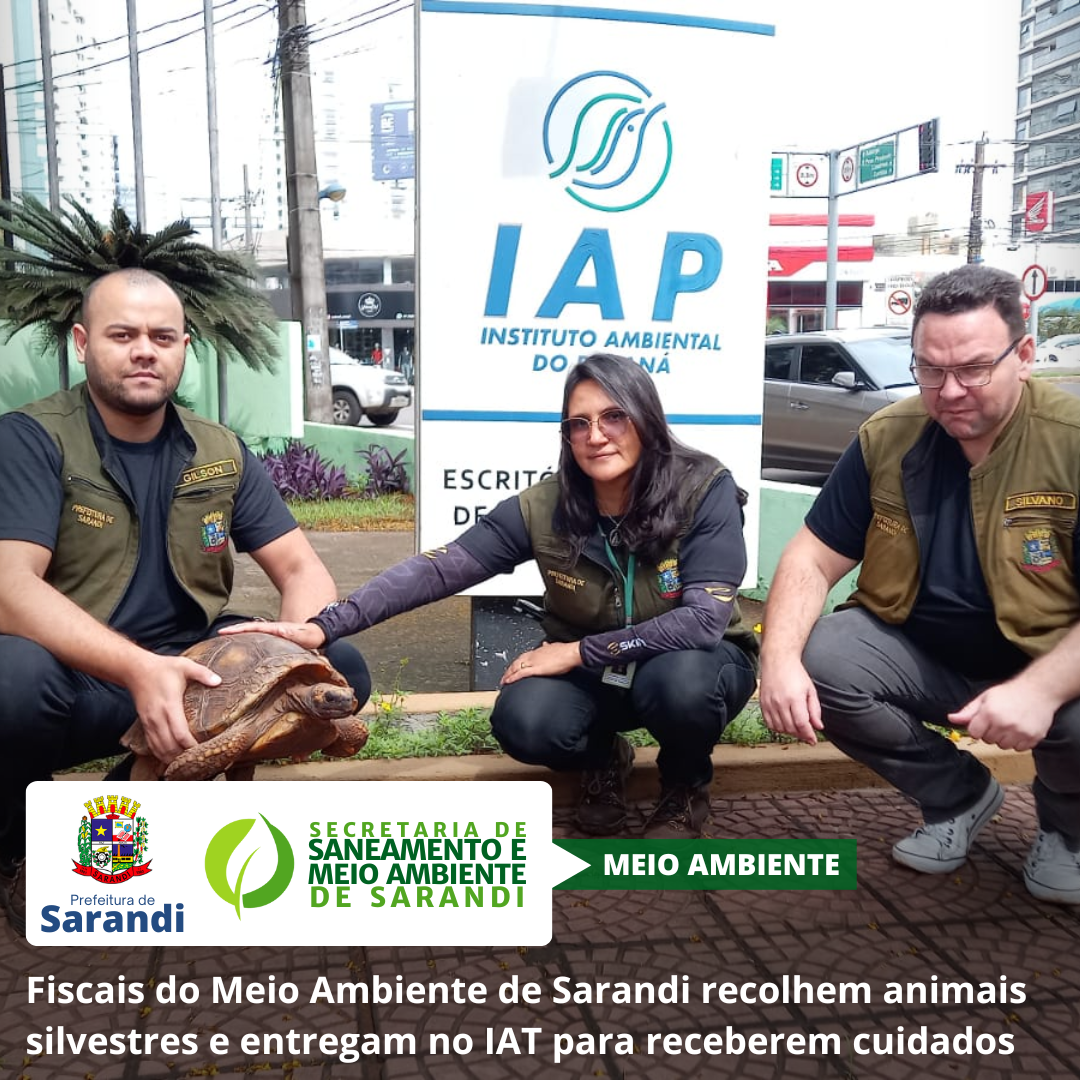 Fiscais do Meio Ambiente de Sarandi recolhem animais silvestres e entregam no IAT para receberem cuidados